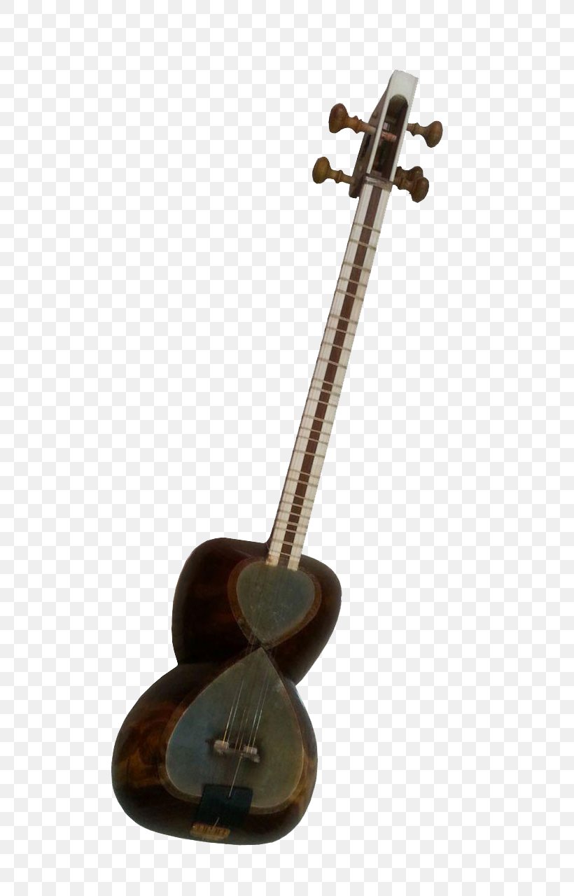 Plucked String Instrument Indian Musical Instruments String Instruments Zeh, PNG, 720x1280px, Watercolor, Cartoon, Flower, Frame, Heart Download Free