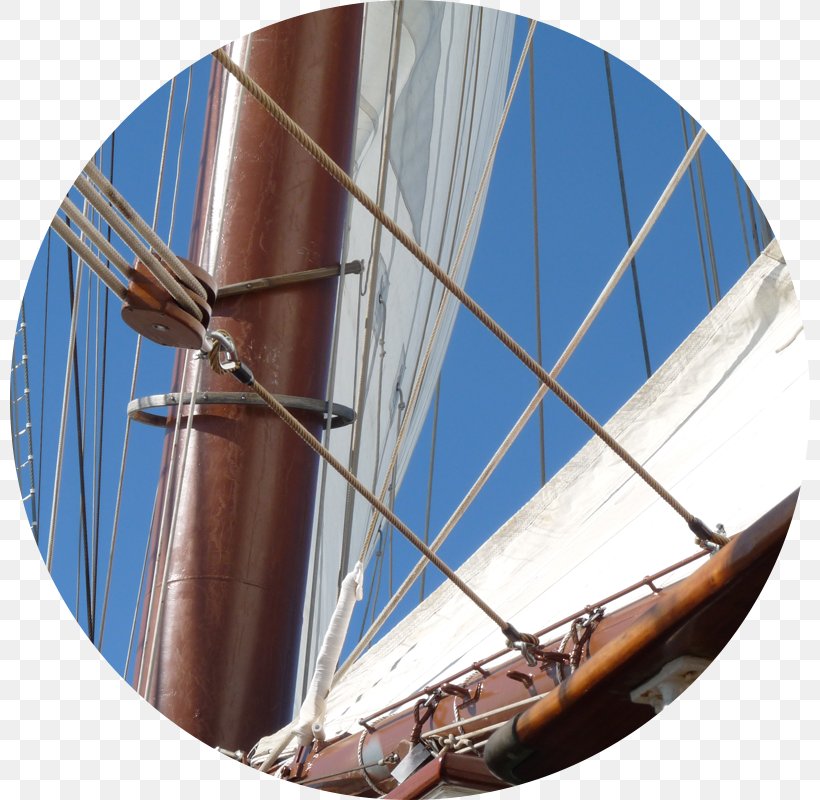 Sail Ship Architectural Engineering Naval Architecture Navy, PNG, 800x800px, Sail, Architectural Engineering, Caravel, Length Overall, Mast Download Free