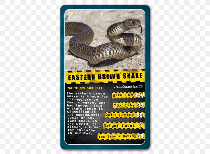 Top Trumps Snake Shark Winning Moves, PNG, 600x600px, Top Trumps, Animal, Black Mamba, Blueringed Octopus, Card Game Download Free
