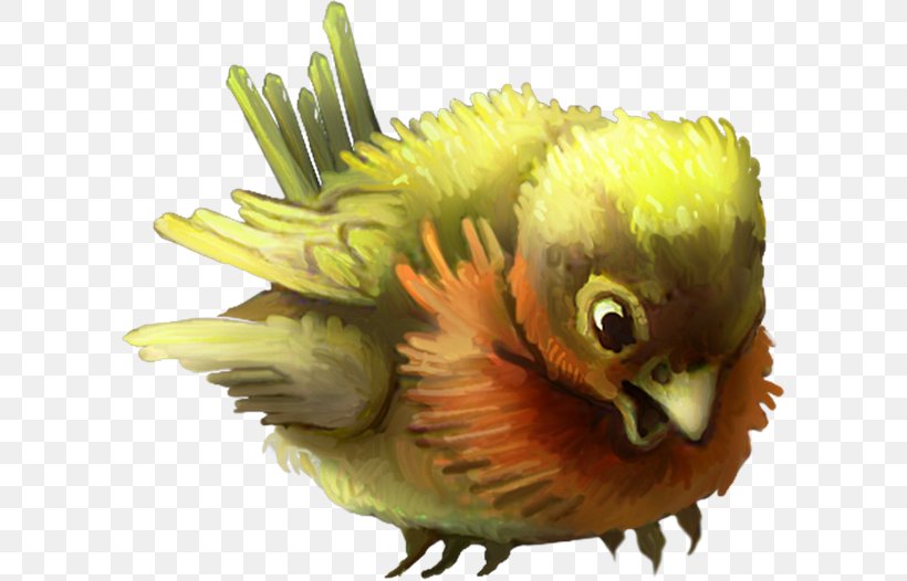 Budgerigar Bird Feather Parakeet, PNG, 600x526px, Budgerigar, Animal, Beak, Bird, Cartoon Download Free