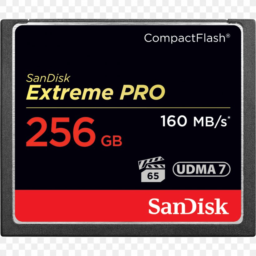 CompactFlash Flash Memory Cards SanDisk Computer Data Storage Secure Digital, PNG, 1000x1000px, Compactflash, Area, Computer Data Storage, Data, Electronic Device Download Free