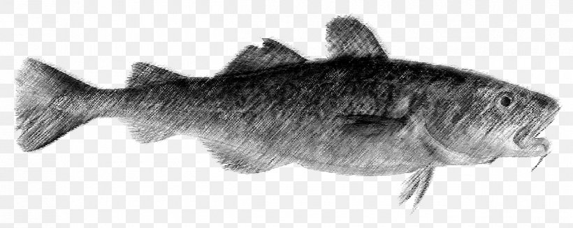 Drawing Fauna Marine Mammal /m/02csf Wildlife, PNG, 1250x499px, Drawing, Animal, Animal Figure, Artwork, Black And White Download Free