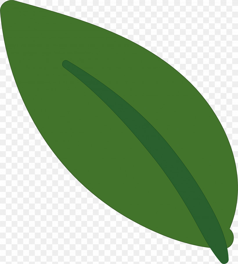 Leaf, PNG, 2709x3000px, Leaf, Biology, Green, Meter, Plant Structure Download Free