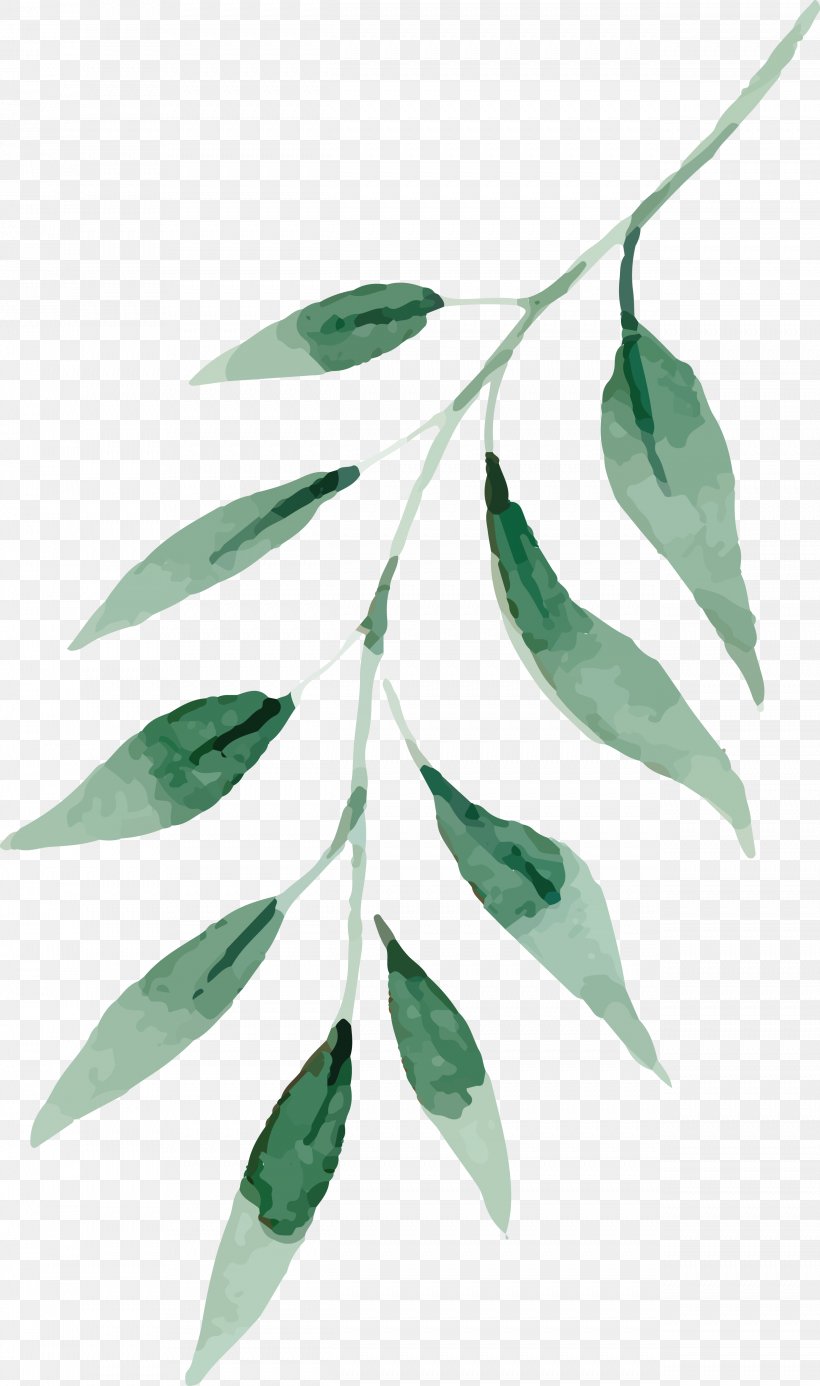 Watercolor Painting Drawing Leaf, PNG, 2542x4299px, Watercolor Painting, Branch, Color, Drawing, Food Download Free