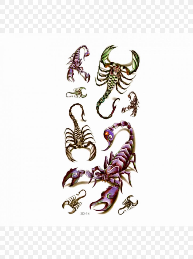 Abziehtattoo Body Art Scorpion Flash, PNG, 1000x1340px, Tattoo, Abziehtattoo, Arm, Art, Body Art Download Free