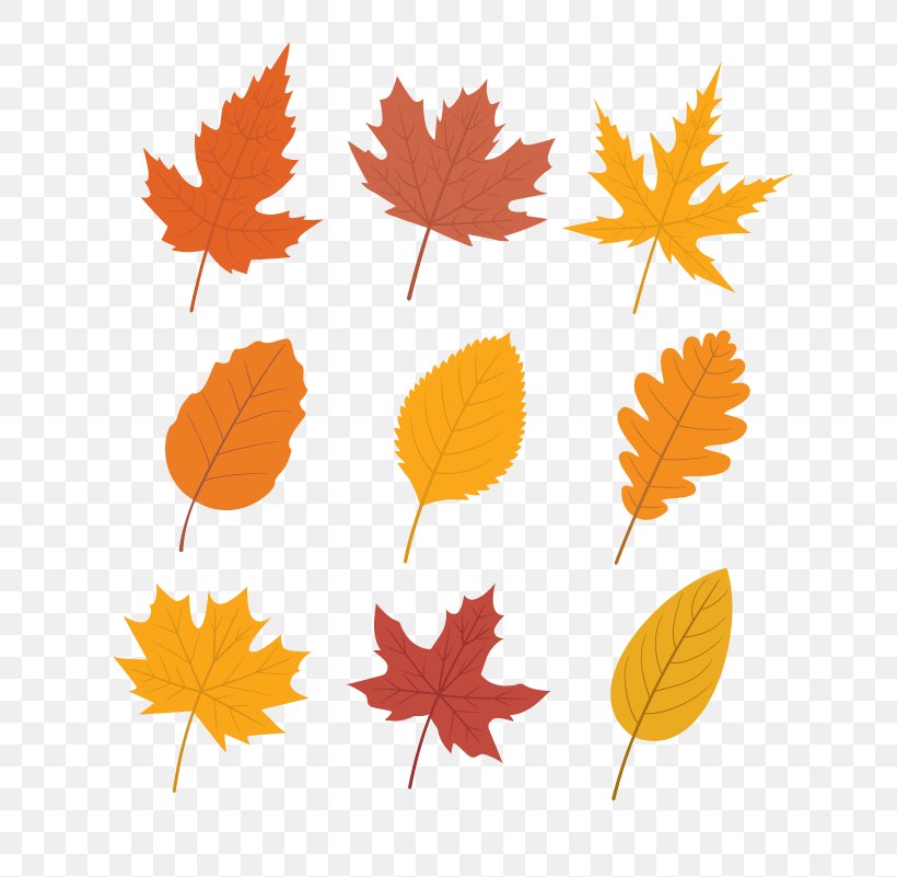 Autumn Leaf Color Maple Leaf, PNG, 801x801px, Autumn Leaf Color, Autumn, Color, Leaf, Maple Leaf Download Free