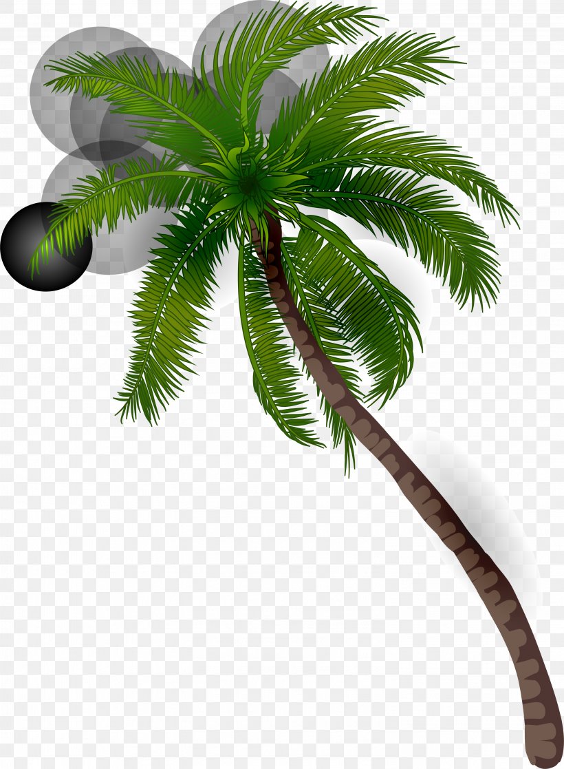 Coconut Arecaceae Illustration, PNG, 3001x4088px, Coconut, Arecaceae, Arecales, Date Palm, Flowerpot Download Free