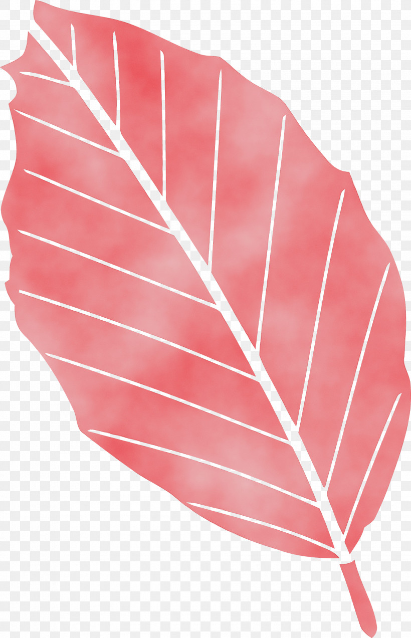 Feather, PNG, 1854x2879px, Autumn Leaf, Feather, Leaf, Line, Paint Download Free