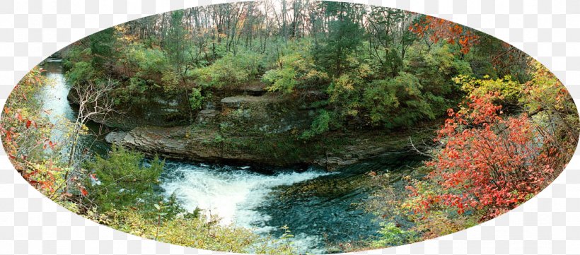 Kankakee River State Park Rock Creek Rock Cut State Park, PNG, 1068x471px, Rock Creek, Camping, Illinois, Park, Pond Download Free