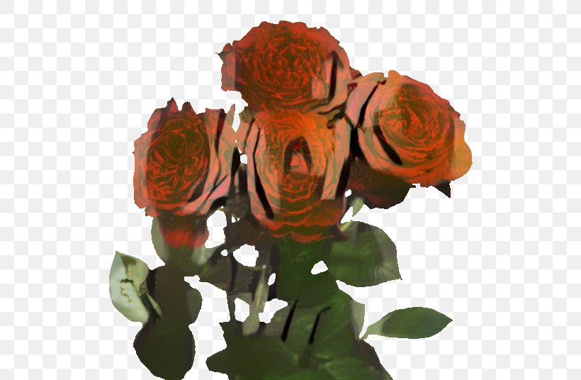 Garden Roses Cut Flowers Petal, PNG, 521x536px, Garden Roses, Bouquet, Cut Flowers, Floribunda, Flower Download Free