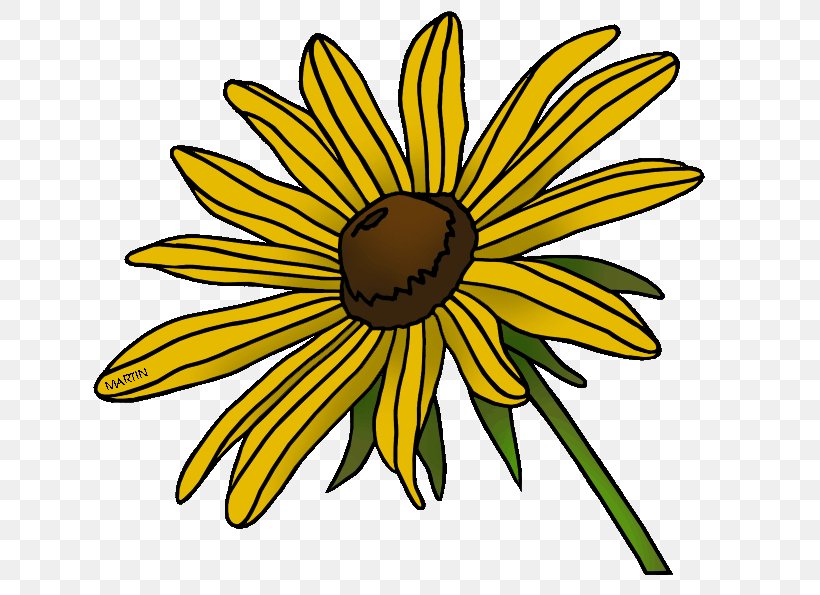 Blackeyed Susan Maryland State Flower Clip Art, PNG, 648x595px, Blackeyed Susan, Artwork, Black And White, Color, Coneflowers Download Free