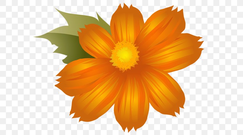 Clip Art Flower Image Desktop Wallpaper, PNG, 600x457px, Flower, Annual Plant, Calendula, Daisy Family, Digital Image Download Free