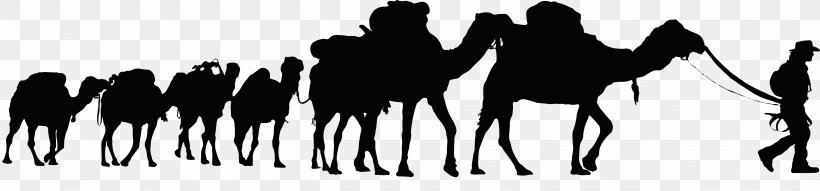 Dromedary Sahara Desert Tunisia Camel Train Clip Art, PNG, 4877x1140px, Dromedary, Black, Black And White, Camel, Camel Like Mammal Download Free