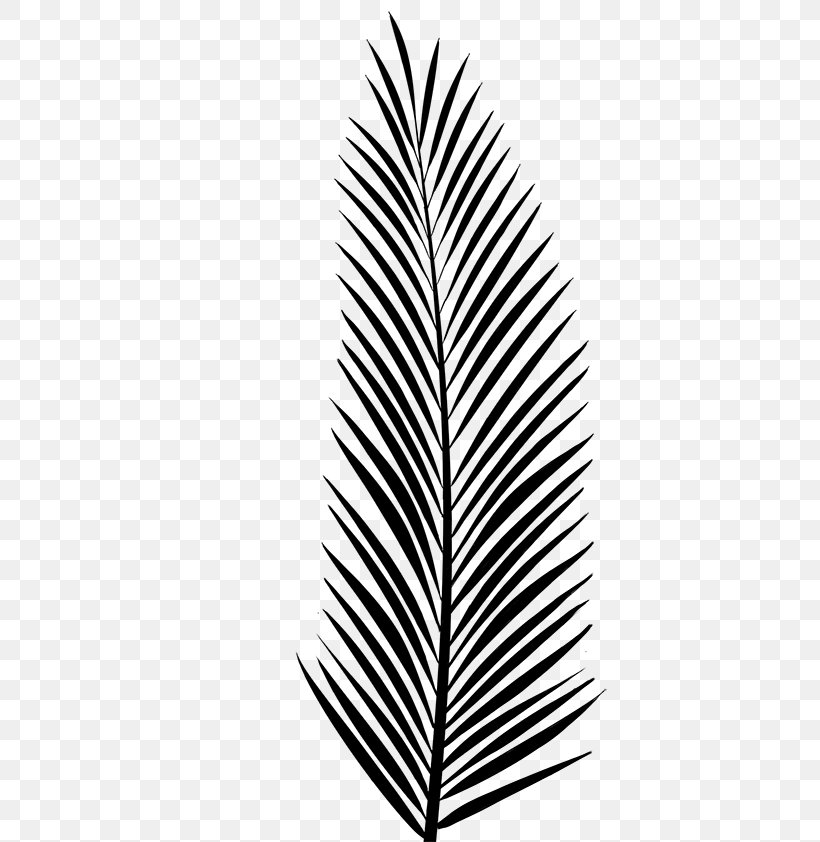 Leaf Line Tree, PNG, 595x842px, Leaf, Blackandwhite, Colorado Spruce, Feather, Fern Download Free