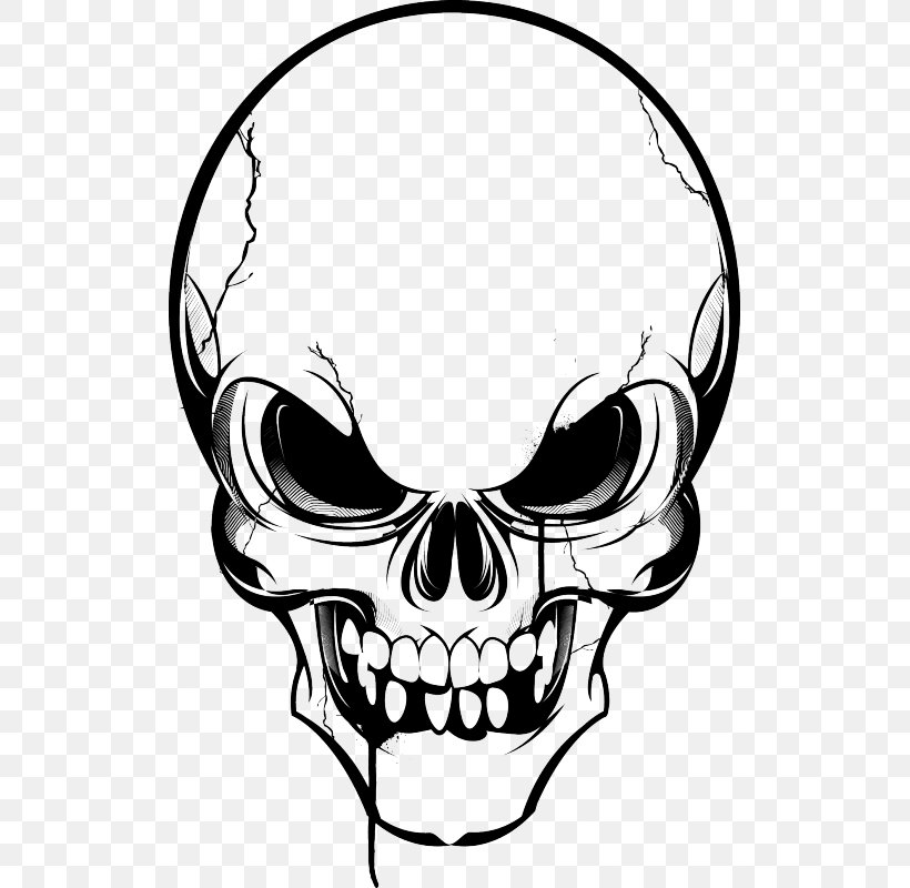 Skull Human Skeleton Clip Art, PNG, 800x800px, Skull, Artwork, Black And White, Bone, Drawing Download Free