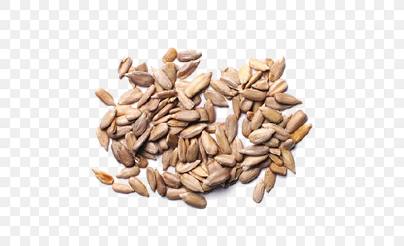 Sunflower Seed Common Sunflower Food, PNG, 500x500px, Sunflower Seed, Artikel, Cereal Germ, Commodity, Common Sunflower Download Free