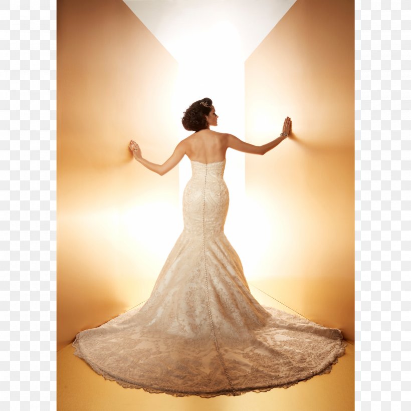 Wedding Dress Gown Shoulder Photo Shoot, PNG, 2000x2000px, Wedding Dress, Bridal Clothing, Bride, Dress, Gown Download Free
