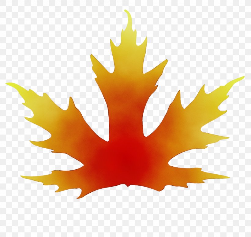 Autumn Leaf Drawing, PNG, 1000x946px, Watercolor, Autumn Leaf Color, Drawing, Leaf, Line Art Download Free