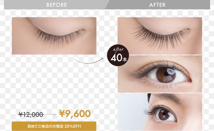 Eyelash Extensions Eye Shadow Artificial Hair Integrations プロケアアイラッシュ, PNG, 790x505px, Eyelash Extensions, Artificial Hair Integrations, Beauty, Beauty Parlour, Cosmetics Download Free