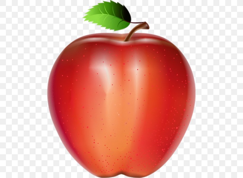McIntosh Juice Apple Fruit, PNG, 600x600px, Mcintosh, Accessory Fruit, Apple, Auglis, Diet Food Download Free