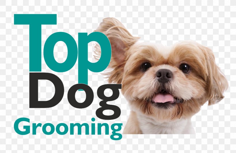 Puppy Dog Grooming Shih Tzu Havanese Dog Pet Sitting, PNG, 1004x650px, Puppy, Assistance Dog, Carnivoran, Chinese Imperial Dog, Companion Dog Download Free