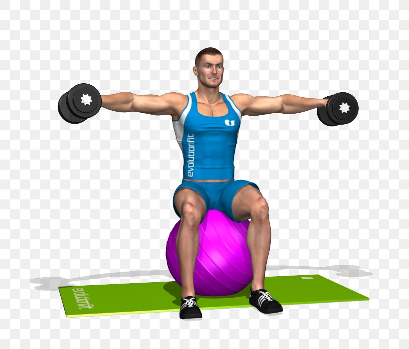 Weight Training Shoulder Exercise Balls Deltoid Muscle BodyPump, PNG, 700x700px, Watercolor, Cartoon, Flower, Frame, Heart Download Free