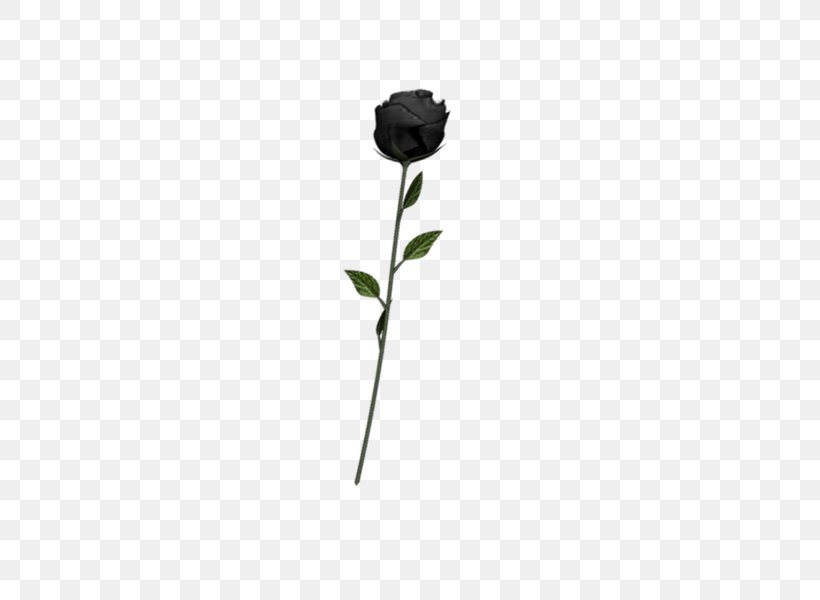 Black Rose Art Emoji, PNG, 600x600px, Rose, Art, Black, Black And White, Black Rose Download Free