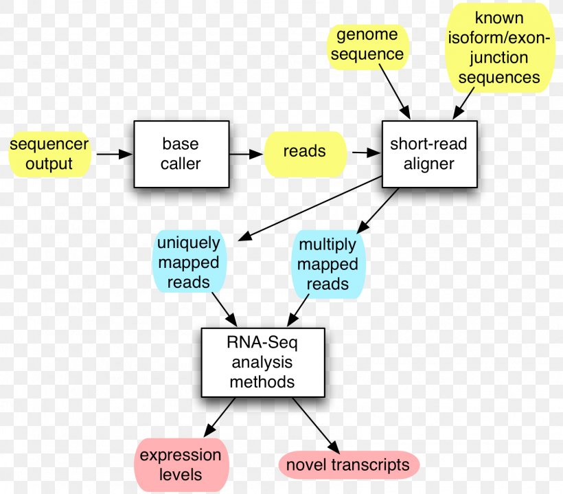 Brand Line Technology, PNG, 1592x1396px, Brand, Area, Communication, Diagram, Learning Download Free