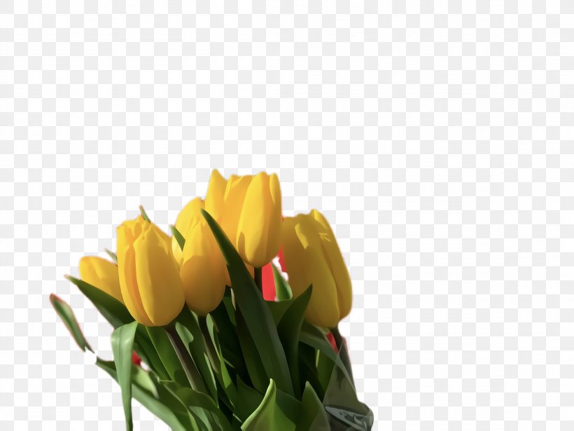 Lily Flower Cartoon, PNG, 2308x1732px, Tulip, Blossom, Bouquet, Computer, Crocus Download Free