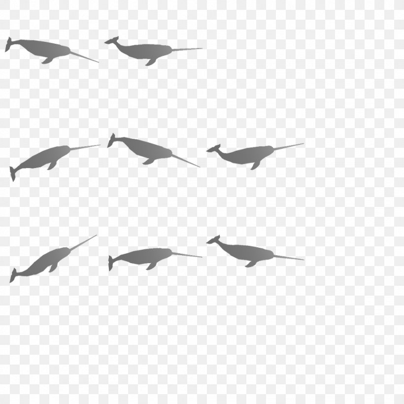 Bird Migration Flock Wader Water Bird, PNG, 1024x1024px, Bird Migration, Animal Migration, Beak, Bird, Black And White Download Free