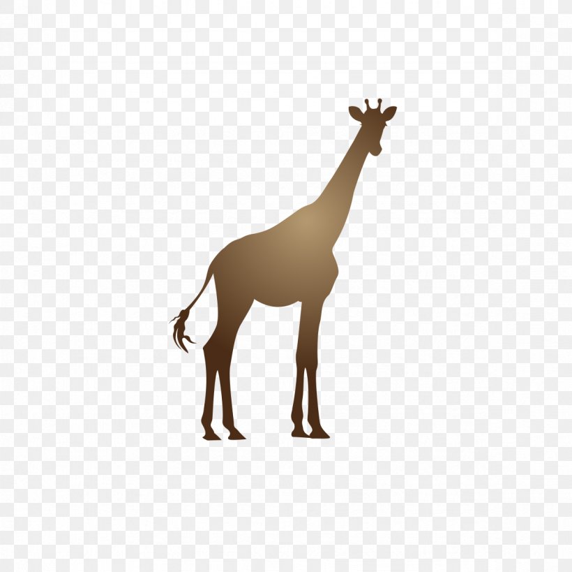 Giraffe Deer Neck Animal Pattern, PNG, 1181x1181px, Giraffe, Animal, Deer, Fauna, Giraffidae Download Free