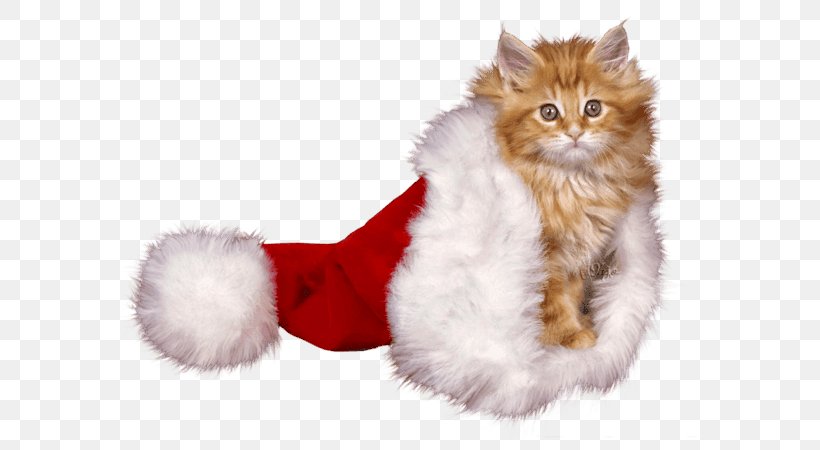 Kitten Christmas Whiskers Cat Mrs. Claus, PNG, 600x450px, Kitten, Carnivoran, Cat, Cat Like Mammal, Child Download Free