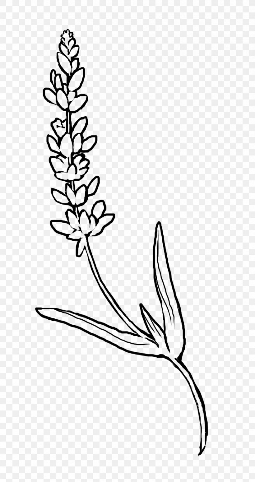 Plant Stem Naver Blog Flower Black And White Clip Art, PNG, 867x1639px, Plant Stem, Area, Art, Black And White, Blog Download Free