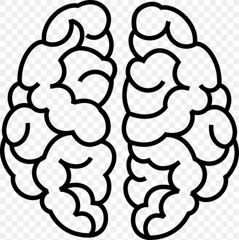 Science Brain Clip Art, PNG, 1017x1024px, Science, Area, Black, Black And White, Brain Download Free