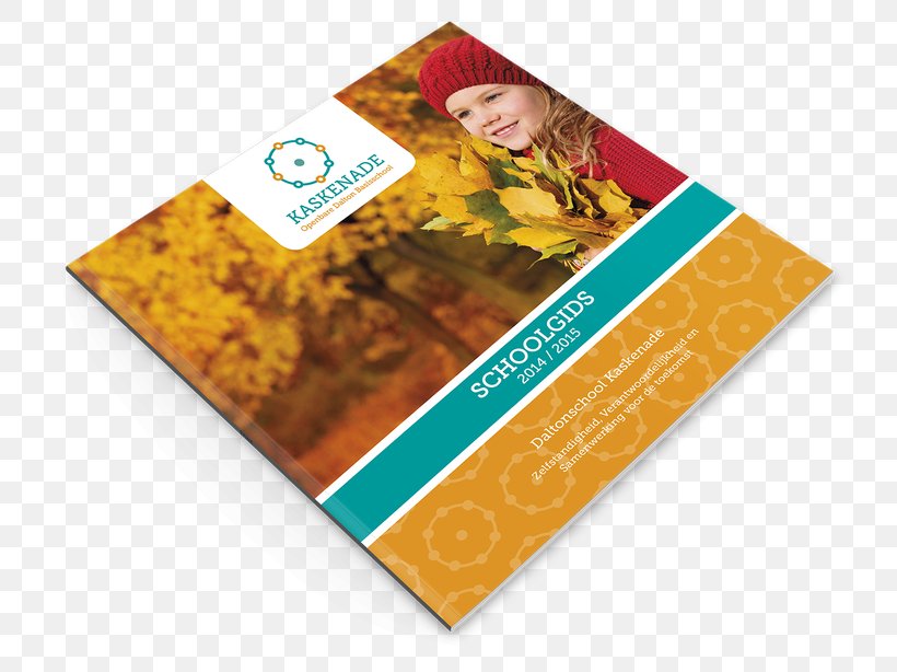 Brand Brochure, PNG, 744x614px, Brand, Brochure Download Free