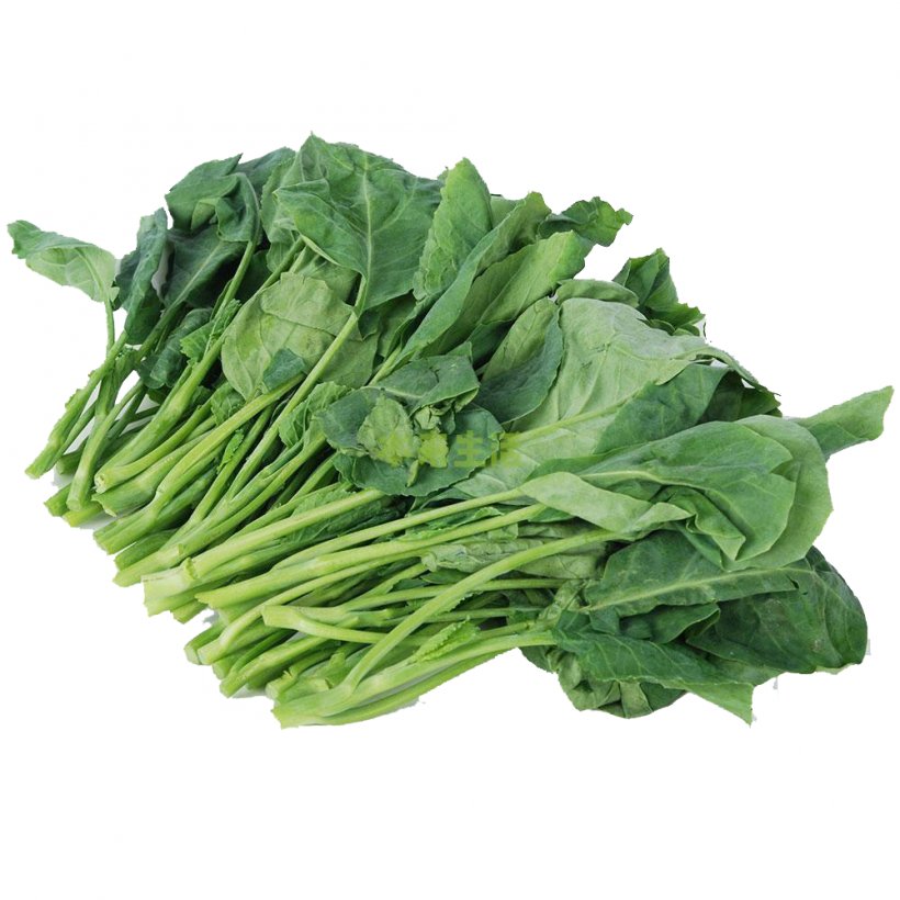 Chinese Broccoli Kohlrabi Vegetable Organic Food Brassica Juncea, PNG, 1000x1000px, Chinese Broccoli, Brassica Juncea, Brassica Oleracea, Broccoli, Cabbage Download Free