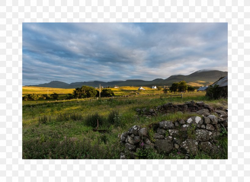 Ecoregion Shrubland Grassland Land Lot Real Property, PNG, 900x657px, Ecoregion, Cloud, Ecosystem, Farm, Field Download Free