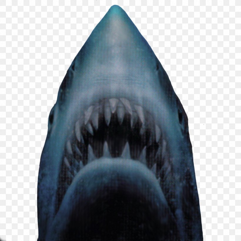 Jaws Unleashed Video Game Xbox One, PNG, 1024x1024px, Jaws Unleashed, Bruno Mattei, Cartilaginous Fish, Cruel Jaws, Electric Blue Download Free