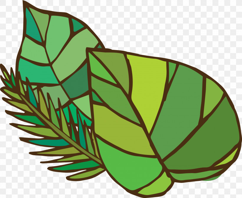 Leaf Plant Stem Flower Green Line, PNG, 3000x2461px, Leaf, Biology, Flower, Green, Line Download Free