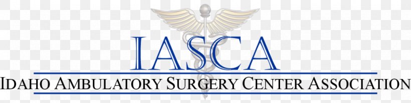 Ambulatory Surgery Center Association Outpatient Surgery ASCA 2018 Ambulatory Care, PNG, 1024x258px, Surgery, Ambulatory Care, Blue, Boise, Brand Download Free