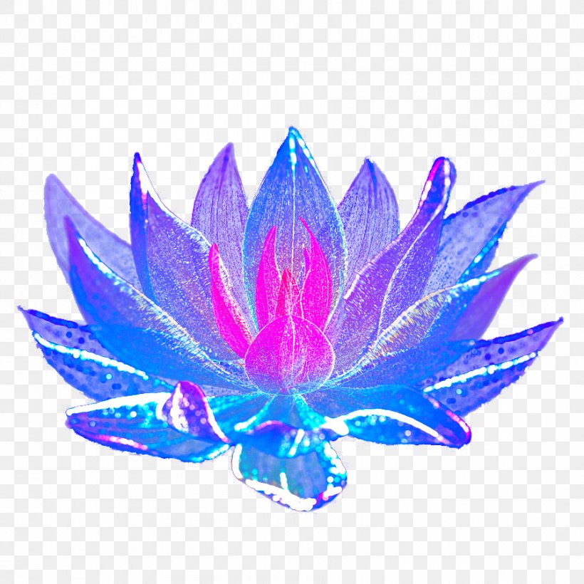 Blue Flower, PNG, 900x900px, Blue, Blue Flower, Designer, Drawing, Dream Download Free