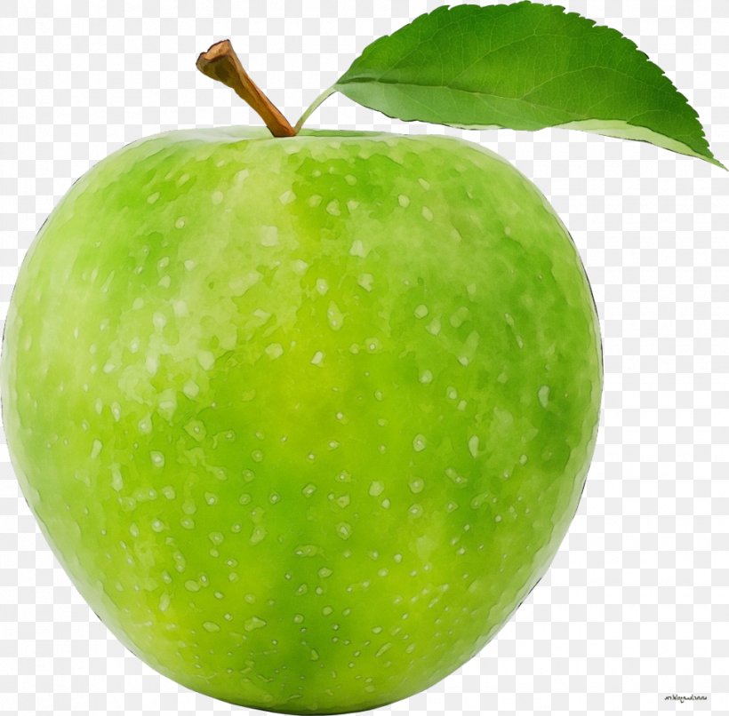 Granny Smith Green Fruit Apple Natural Foods, PNG, 970x954px, Watercolor, Apple, Food, Fruit, Granny Smith Download Free