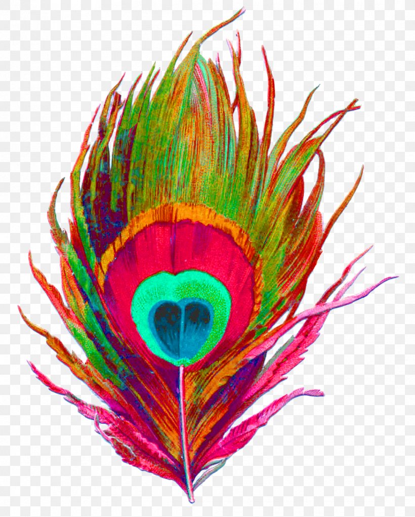 Krishna Peafowl Feather Image, PNG, 1084x1350px, Krishna, Beak, Bird, Colorfulness, Feather Download Free