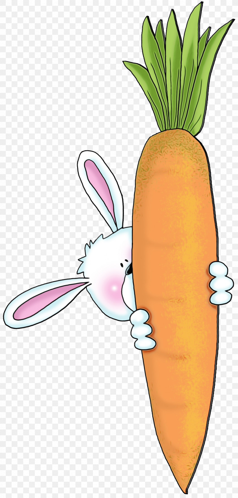 Carrot Radish Root Vegetable Vegetable Daikon, PNG, 1273x2664px, Watercolor, Baby Carrot, Carrot, Cartoon, Daikon Download Free