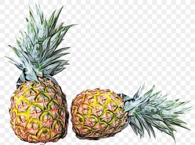 Fruit Cartoon, PNG, 1280x955px, Pineapple, Ananas, Clausena Lansium, Food, Fruit Download Free