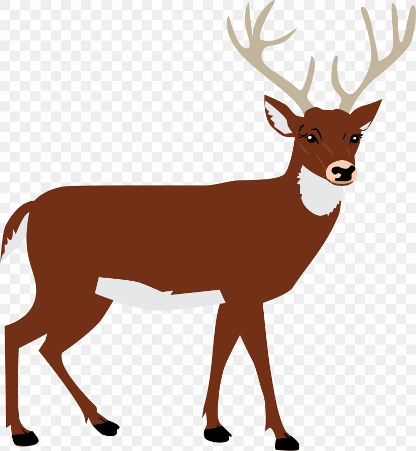 White-tailed Deer Red Deer Moose Reindeer, PNG, 1927x2092px, Deer, Antler, Elk, Horn, Mammal Download Free