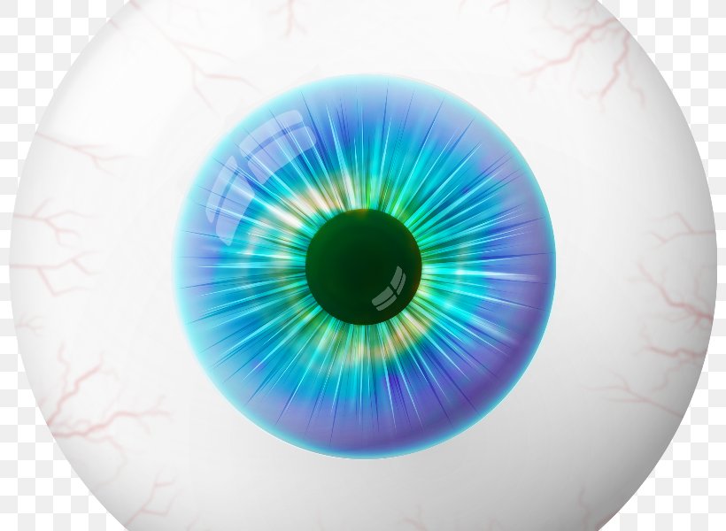 Iris Human Eye Pupil Red Eye, PNG, 800x600px, Watercolor, Cartoon, Flower, Frame, Heart Download Free