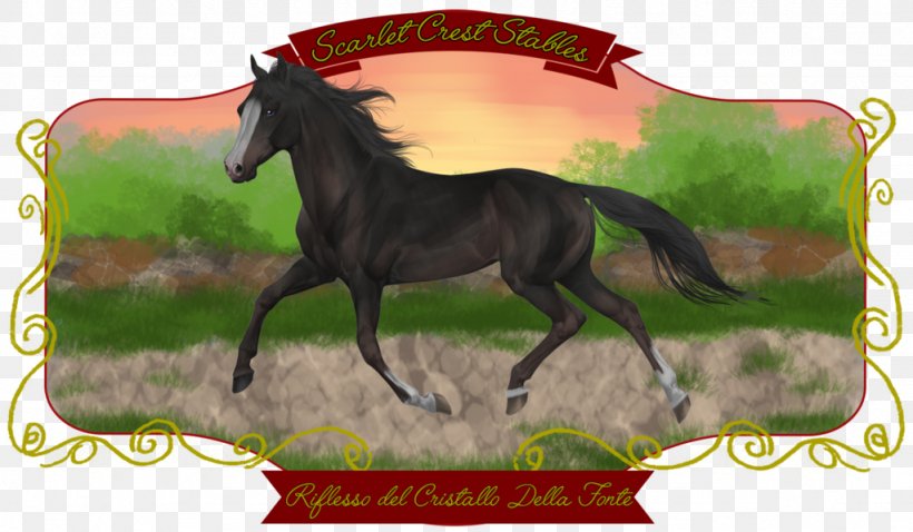 Mane Mustang Stallion Foal Colt, PNG, 1024x597px, Mane, Animal, Bridle, Colt, Dog Harness Download Free