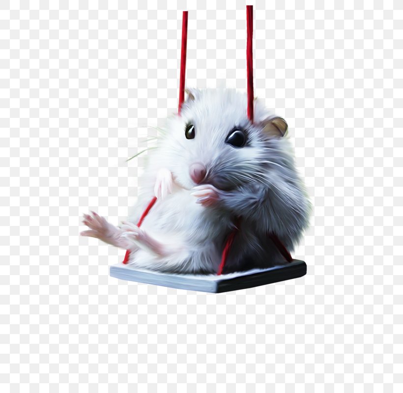 Gerbil Hamster Swing Painting White, PNG, 800x800px, Gerbil, Hammock, Hamster, Mammal, Mouse Download Free