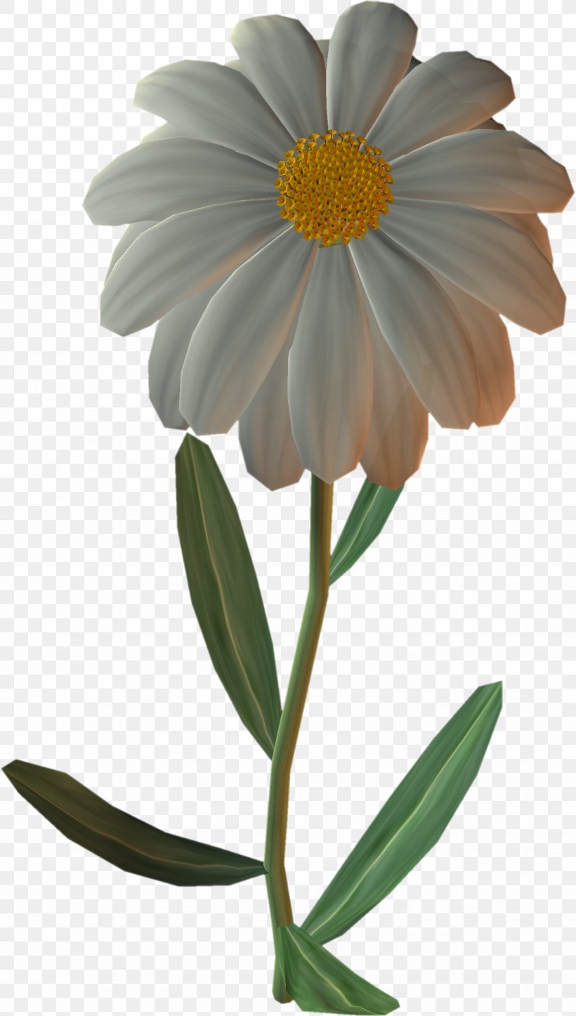 German Chamomile Flower Common Daisy Clip Art, PNG, 1332x2349px, German Chamomile, Annual Plant, Aster, Chamomile, Common Daisy Download Free